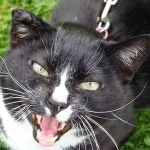 Meet your Posher, Gail